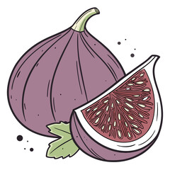 Hand drawn illustration of a fig and fig slice with leaf