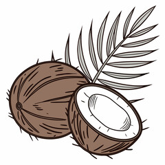 Coconut with Palm Leaf Illustration for Summer Tropical and Vacation Themes