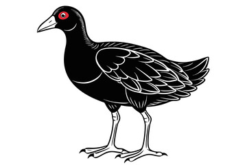 coloring page line art the gallinule black vector