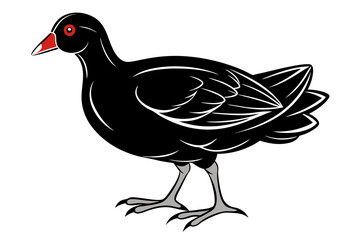 coloring page line art the gallinule black vector