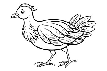 coloring page line art the gallinule black vector