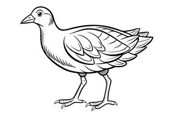 coloring page line art the gallinule black vector