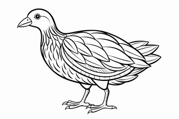 coloring page line art the gallinule black vector
