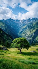 Obraz premium Alpine valley with vibrant green meadows