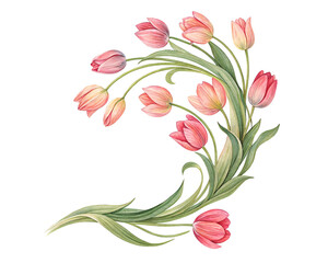 Light Pink Tulip Bouquet with Green Leaves – PNG Transparent Background