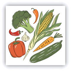 A hand-painted watercolor illustration, isolated on a white background, showcases a collection of vegetables including broccoli, tomato, carrot, pepper, asparagus, garlic, zucchini, corn, and green