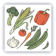 A hand-painted watercolor illustration, isolated on a white background, showcases a collection of vegetables including broccoli, tomato, carrot, pepper, asparagus, garlic, zucchini, corn, and green