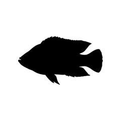 Tilapia fish silhouette vector flat illustration design.