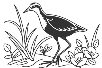 coloring page line art the jacana black vector