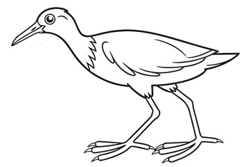 coloring page line art the jacana black vector