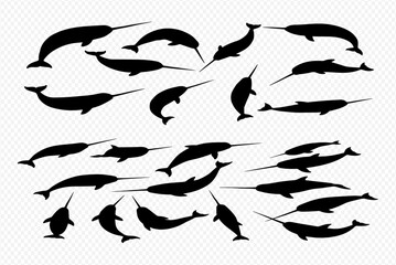 A collection of black narwhal silhouettes in various swimming poses on a transparent background. © Adji