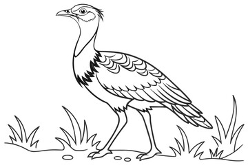 coloring page line art the bustard black vector