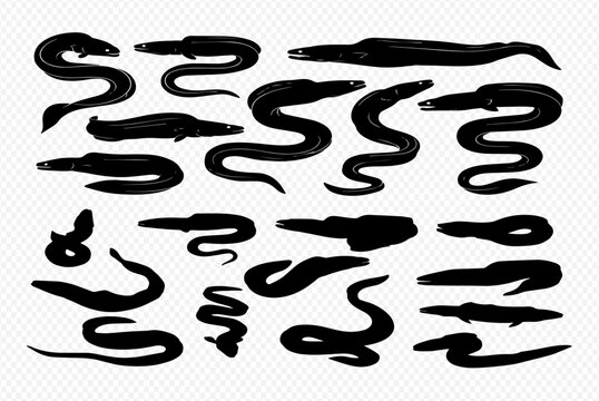 A collection of black eel silhouettes in various swimming and coiled poses, presented as a graphic icon set.