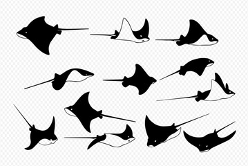 A collection of black and white illustrations depicting various species of stingrays and eagle rays swimming. © Adji
