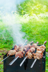 Delicious pork grilled meat over the coals on a barbecue outdoor