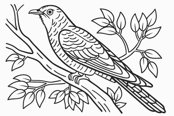 coloring page line art the cuckoo black vector