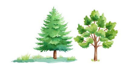 Fototapeta premium Greenery