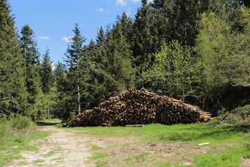 Fototapeta premium Tas de bois à Prélager
