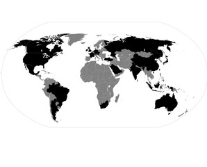 Naklejka premium High-Contrast Political World Map Silhouette – Grayscale G20 Countries Representation,A minimal grayscale political world map highlighting G20 member countries – perfect for business,economic report 