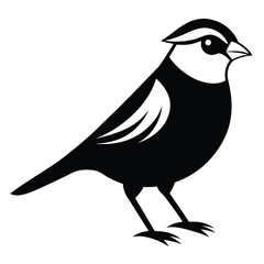 Solid color White-Crowned Sparrow animal vector design