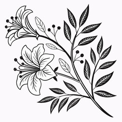 Lily branch with flowers and berries isolated on white background