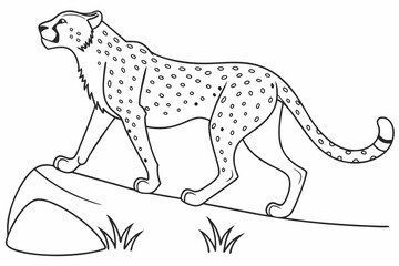 coloring page line art the cheetah black vector