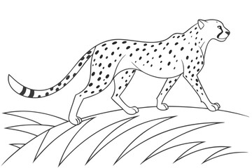 coloring page line art the cheetah black vector