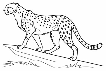 coloring page line art the cheetah black vector