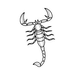 detailed scorpion line art graphic