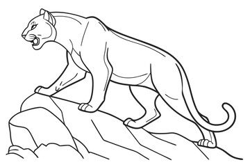 coloring page line art the puma black vector