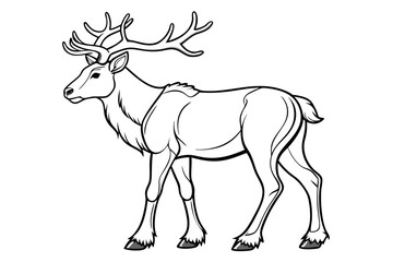 coloring page line art the caribou black vector