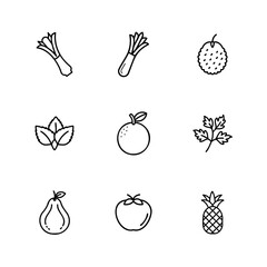 A Collection of Fresh Fruits Vegetables and Herbs for Healthy Eating
