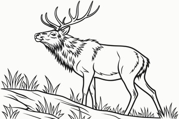coloring page line art the elk black vector