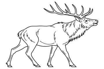 coloring page line art the elk black vector