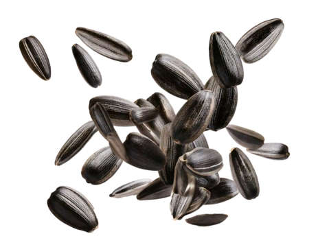 Sunflower seeds flying on transparent background and white background 