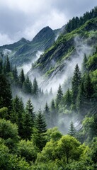 Misty mountain valley scene