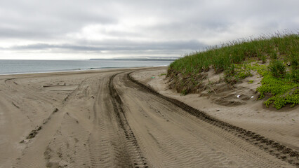 Scenic beach landscape featuring tire tracks on sandy shore, lush green grass on dunes, and calm ocean waves under a cloudy sky, evoking tranquility and nature's beauty
