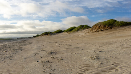 Serene sandy beach landscape with gentle dunes covered in green grass under a bright blue sky, showcasing the beauty of nature and tranquility in coastal environments