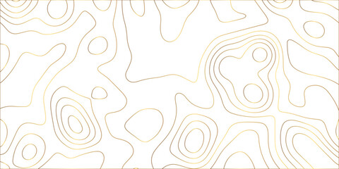 Abstract lines background. Contour maps. Vector illustration. The stylized height of the topographic map contour in lines and contours isolated on transparent. technology topo landscape grid map text	