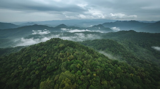 The aerial view captures a vivid, high-resolution nature photography of a tropical rainforest, featuring a lush green canopy, mist, and fog, surrounded by distant mountain ridges.