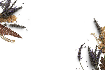 Dried Lavender and Leaves Border
