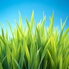 Obraz premium Vibrant green grass blades with pale blue sky background
