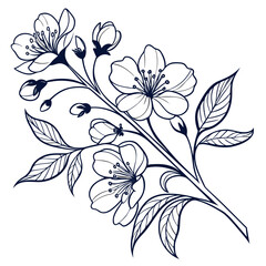 Elegant dark blue outline of cherry blossom flowers and leaves on a white background