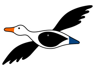 Mallard in flight. Vector image
