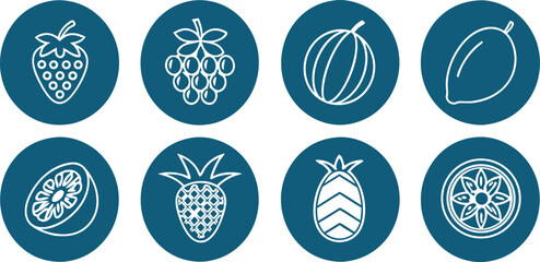 Fruit icons strawberry raspberry melon mango kiwi pineapple