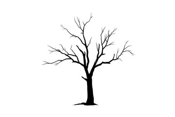 Black silhouette of a tree with no leaves, a vector illustration on a white background, png, transparent