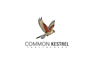 Fototapeta premium Elegant depiction of a soaring kestrel in motion using soft monochrome vector lines, ideal for premium wildlife graphics, classy branding, and naturalist posters.