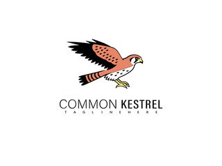 Fototapeta premium Graceful line vector of a flying kestrel shown from the side with stylized symmetry, created for bird-themed logos, elegant brand packaging, and nature-infused illustrations.