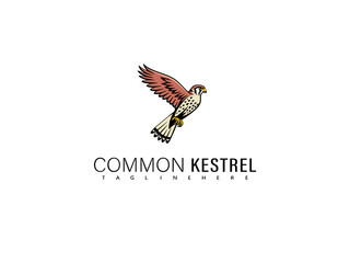 Fototapeta premium Perched common kestrel drawn in monochrome vector line style, perfect for classic branding, minimalistic nature designs, avian-themed merchandise, and wildlife educational tools.