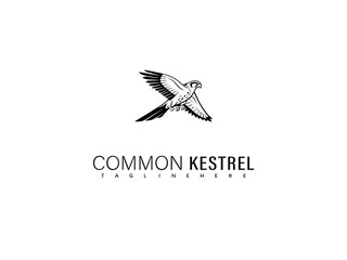 Fototapeta premium Artistic vector of a common kestrel gliding in mid-flight, created in a sleek hand-drawn style with clean lines and graceful composition for elegant nature branding and identity design.